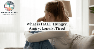 WHAT IS HALT