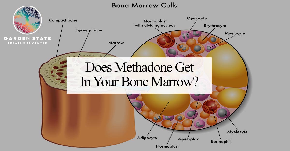 Does Methadone Get In Your Bone Marrow?