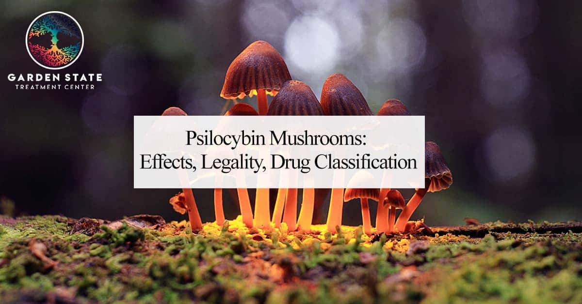Psilocybin Mushrooms: Effects, Legality, Drug Classification
