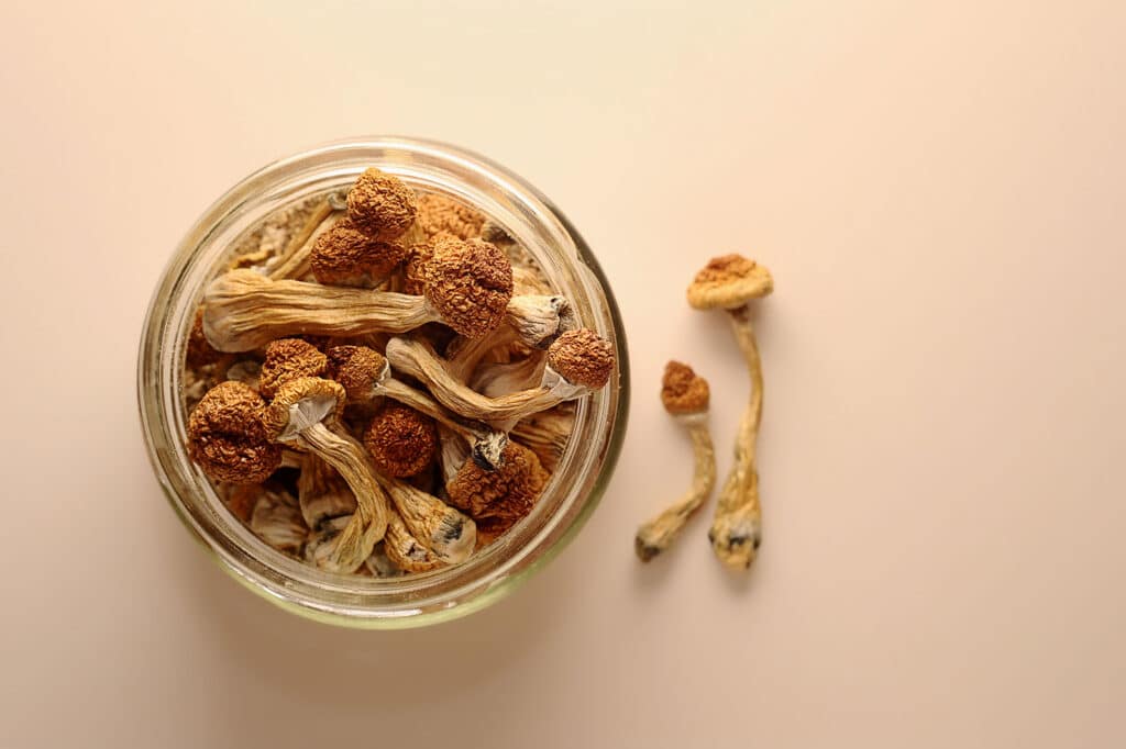 magic mushrooms health